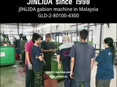 السرعة العالية GLD-2-80100-4300 قوة آلة شبكة غابيون 30KW