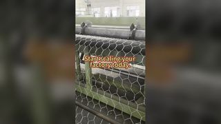 آلة JINLIDA Gabion Machine: عزز إنتاجك ووسع نطاق مصنعك!