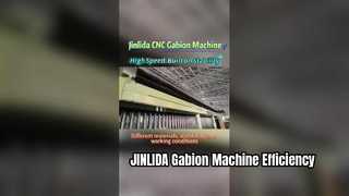 عملية مستقرة تكشف عن المنطق الأساسي لإنتاج شبكة التراب على نطاق واسع